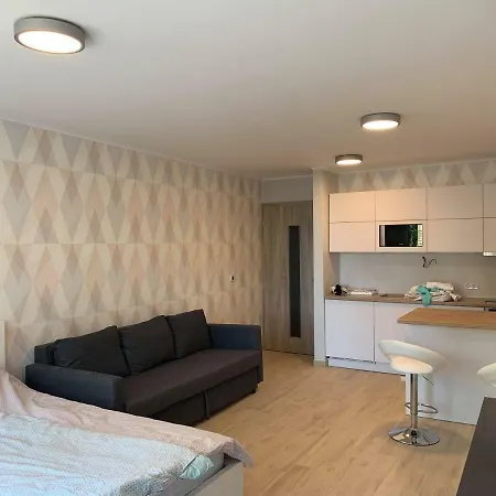 Kisfaludy Apartman 公寓 *